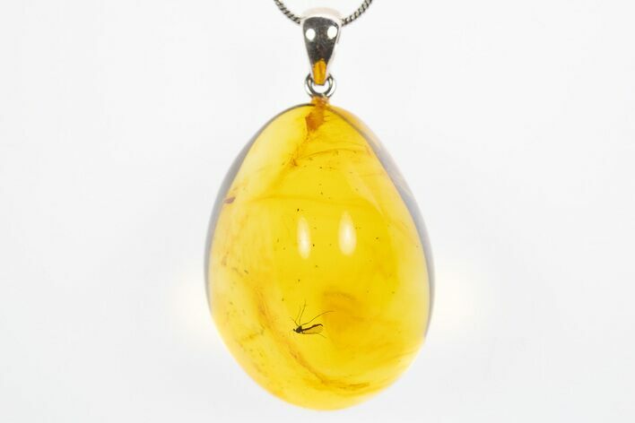 Polished Baltic Amber Pendant (Necklace) - Contains Two Flies! #307918